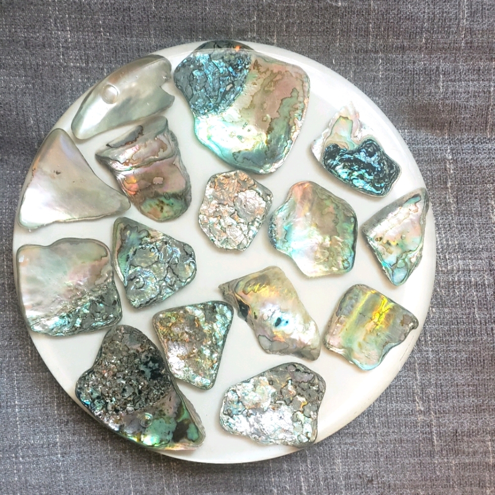 Vintage 60s 70s Abalone shell  8' trivet hotplate